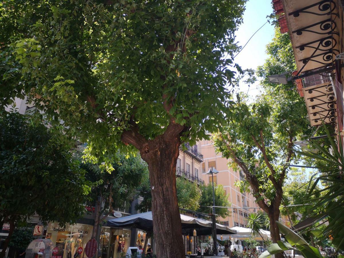 La Casa Dolce Acomodação com café da manhã Palermo Exterior foto